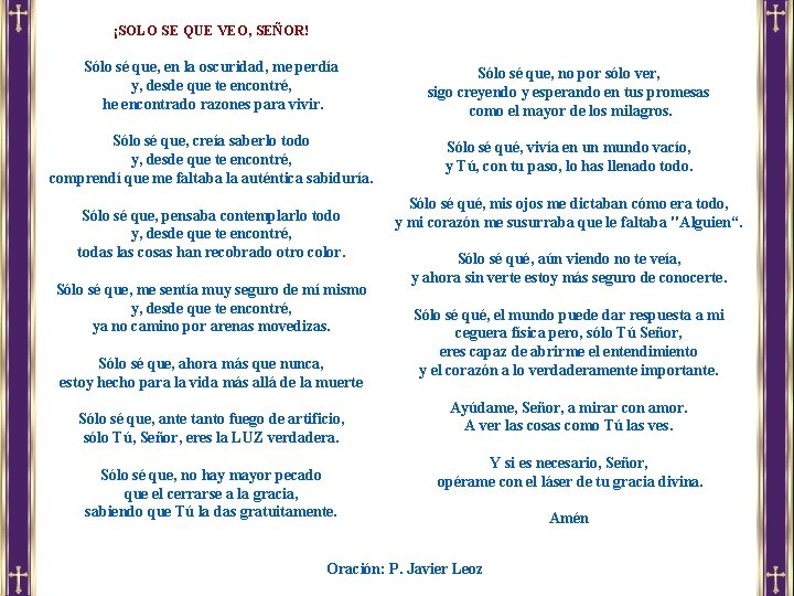 ¡SOLO SE QUE VEO, SEÑOR! Sólo sé que, en la oscuridad, me perdía y,