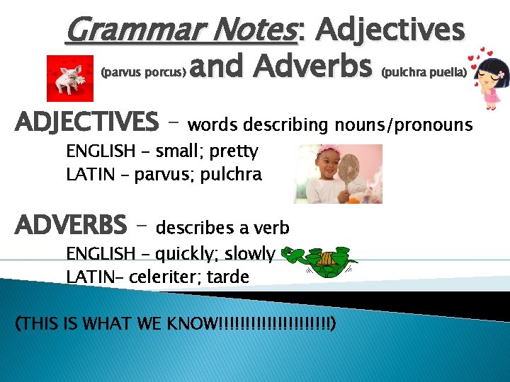 Grammar Notes: Adjectives (parvus porcus) ADJECTIVES – and Adverbs words describing nouns/pronouns ENGLISH –
