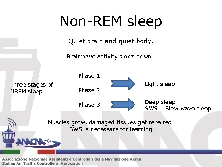 Non-REM sleep Quiet brain and quiet body. Brainwave activity slows down. Phase 1 Three