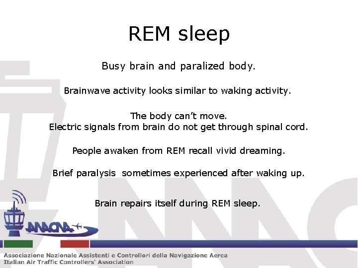 REM sleep Busy brain and paralized body. Brainwave activity looks similar to waking activity.