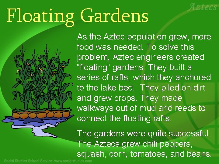 Floating Gardens As the Aztec population grew, more food was needed. To solve this