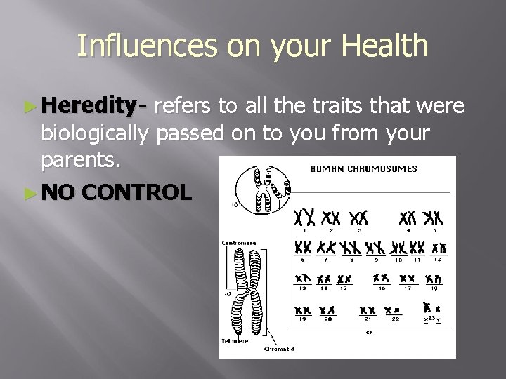 Influences on your Health ► Heredity- refers to all the traits that were biologically