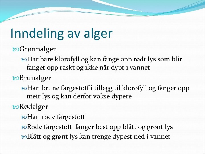 Inndeling av alger Grønnalger Har bare klorofyll og kan fange opp rødt lys som