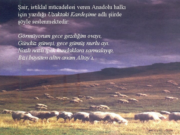 Şair, istiklal mücadelesi veren Anadolu halkı için yazdığı Uzaktaki Kardeşime adlı şiirde şöyle seslenmektedir:
