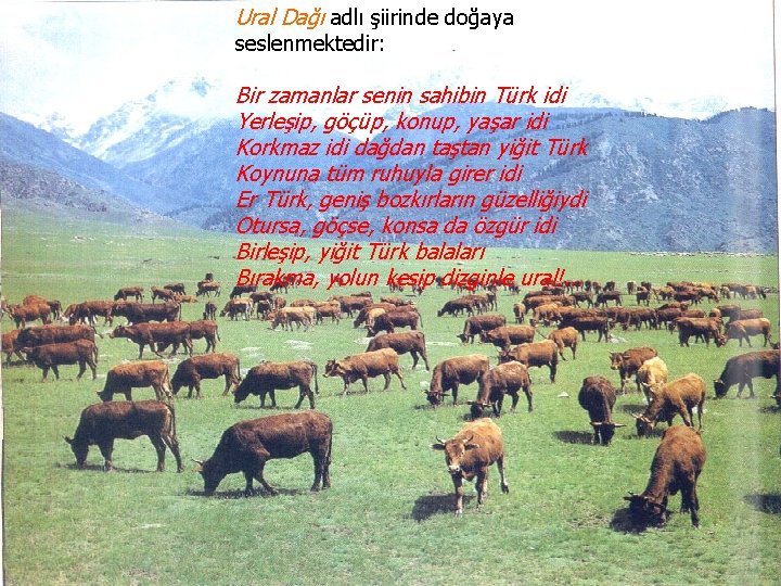 Ural Dağı adlı şiirinde doğaya seslenmektedir: Bir zamanlar senin sahibin Türk idi Yerleşip, göçüp,