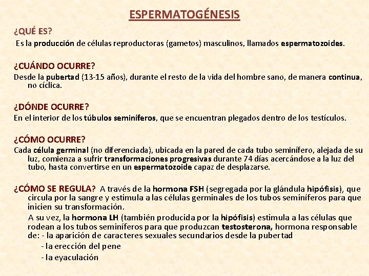 ESPERMATOGÉNESIS ¿QUÉ ES? Es la producción de células reproductoras (gametos) masculinos, llamados espermatozoides. ¿CUÁNDO