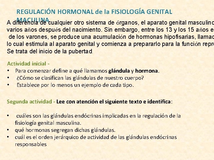 REGULACIÓN HORMONAL de la FISIOLOGÍA GENITAL MACULINA A diferencia de cualquier otro sistema de