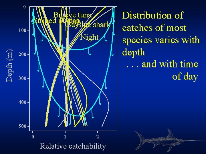 0 Depth (m) 100 Bigeye tuna Striped marlin Opah Day. Blue shark Night 200