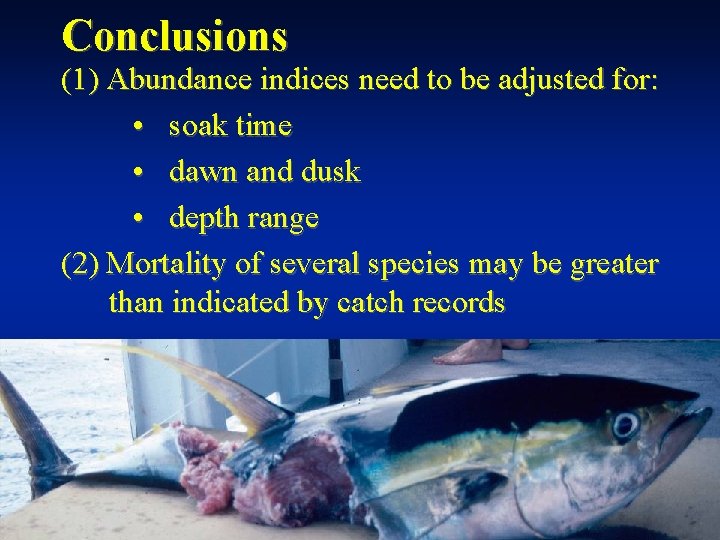 Conclusions (1) Abundance indices need to be adjusted for: • soak time • dawn