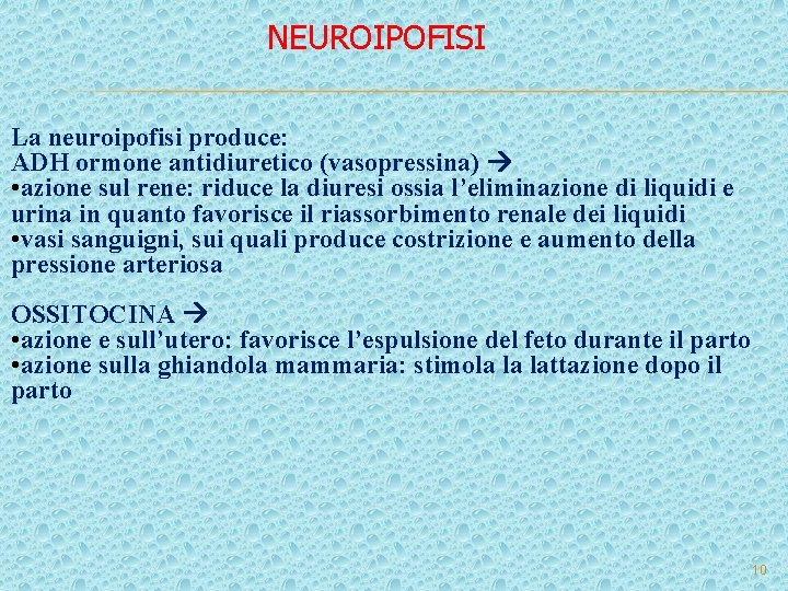 NEUROIPOFISI La neuroipofisi produce: ADH ormone antidiuretico (vasopressina) • azione sul rene: riduce la NEUROIPOFISI La neuroipofisi produce: ADH ormone antidiuretico (vasopressina) • azione sul rene: riduce la
