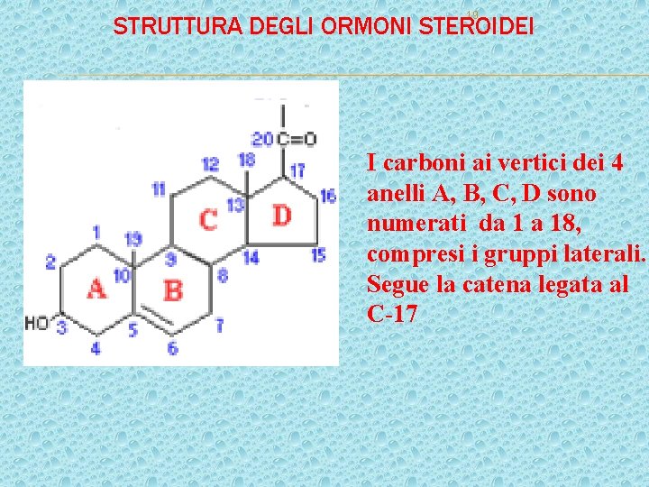 19 STRUTTURA DEGLI ORMONI STEROIDEI I carboni ai vertici dei 4 anelli A, B, 19 STRUTTURA DEGLI ORMONI STEROIDEI I carboni ai vertici dei 4 anelli A, B,