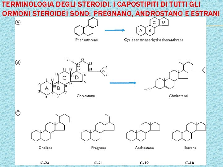 TERMINOLOGIA DEGLI STEROIDI. I CAPOSTIPITI 20 DI TUTTI GLI ORMONI STEROIDEI SONO: PREGNANO, ANDROSTANO TERMINOLOGIA DEGLI STEROIDI. I CAPOSTIPITI 20 DI TUTTI GLI ORMONI STEROIDEI SONO: PREGNANO, ANDROSTANO