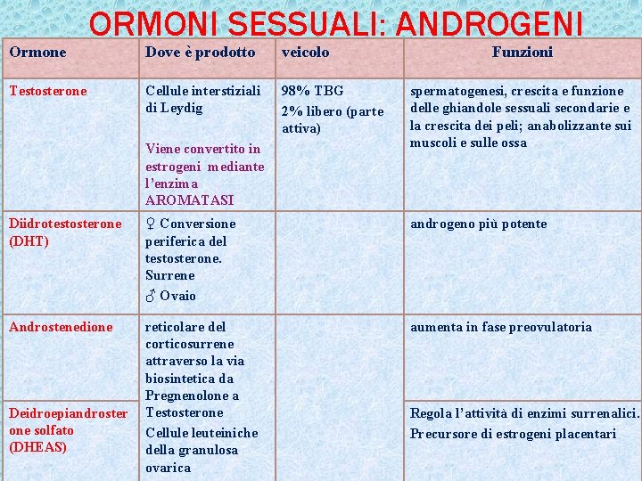 Ormone ORMONI SESSUALI: ANDROGENI Testosterone Dove è prodotto veicolo Cellule interstiziali di Leydig 98% Ormone ORMONI SESSUALI: ANDROGENI Testosterone Dove è prodotto veicolo Cellule interstiziali di Leydig 98%