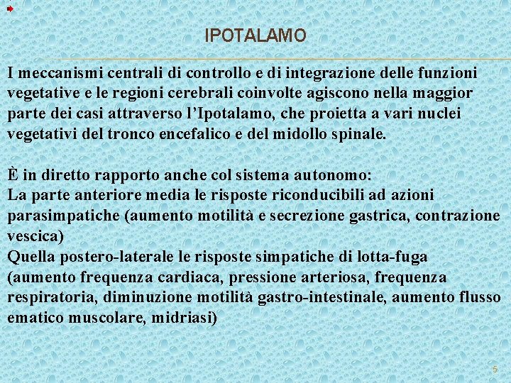 IPOTALAMO I meccanismi centrali di controllo e di integrazione delle funzioni vegetative e le IPOTALAMO I meccanismi centrali di controllo e di integrazione delle funzioni vegetative e le