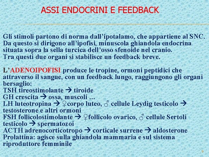 ASSI ENDOCRINI E FEEDBACK Gli stimoli partono di norma dall’ipotalamo, che appartiene al SNC. ASSI ENDOCRINI E FEEDBACK Gli stimoli partono di norma dall’ipotalamo, che appartiene al SNC.