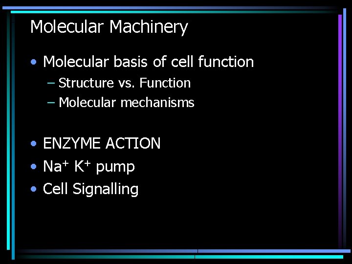 Molecular Machinery • Molecular basis of cell function – Structure vs. Function – Molecular