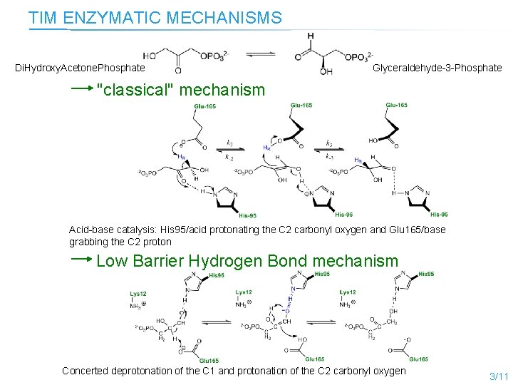 TIM ENZYMATIC MECHANISMS Di. Hydroxy. Acetone. Phosphate Glyceraldehyde-3 -Phosphate "classical" mechanism Acid-base catalysis: His