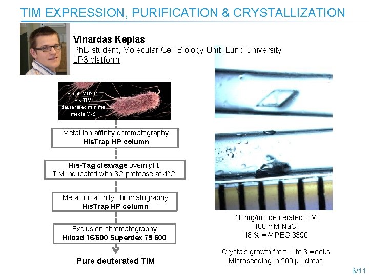 TIM EXPRESSION, PURIFICATION & CRYSTALLIZATION Vinardas Keplas Ph. D student, Molecular Cell Biology Unit,