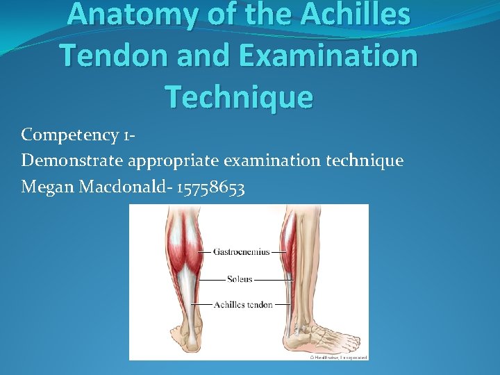 Anatomy of the Achilles Tendon and Examination Technique Competency 1 - Demonstrate appropriate examination