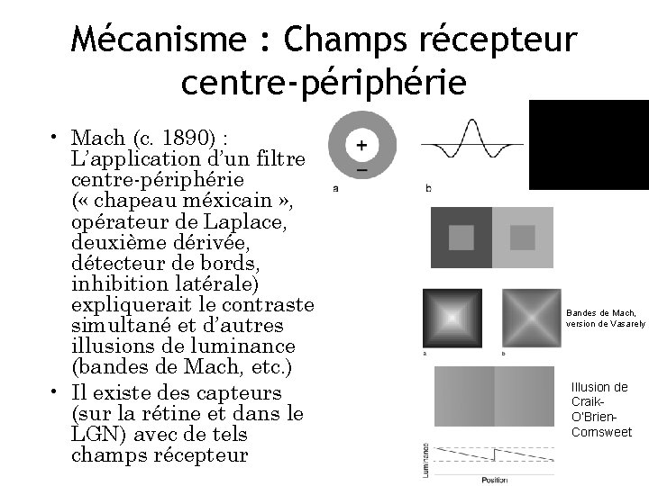 Mécanisme : Champs récepteur centre-périphérie • Mach (c. 1890) : L’application d’un filtre centre-périphérie