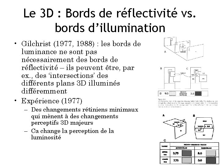 Le 3 D : Bords de réflectivité vs. bords d’illumination • Gilchrist (1977, 1988)