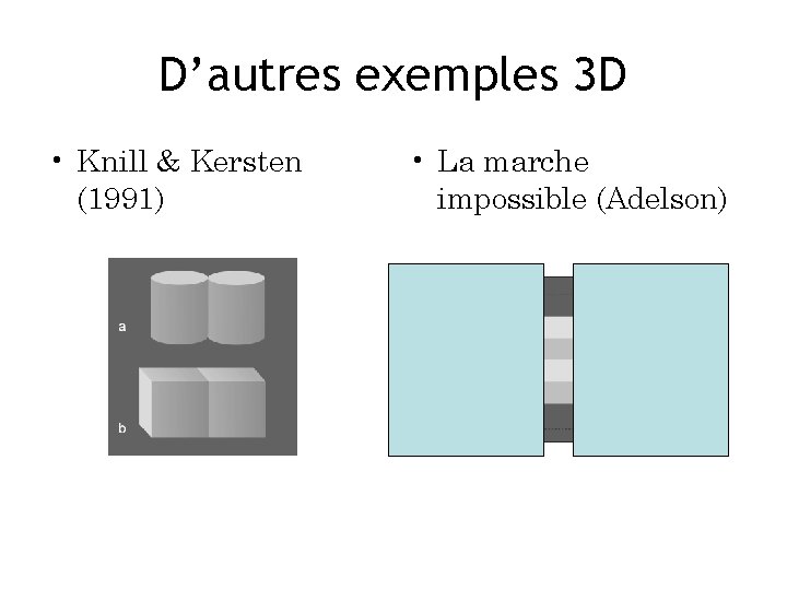 D’autres exemples 3 D • Knill & Kersten (1991) • La marche impossible (Adelson)