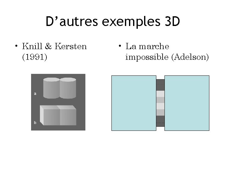 D’autres exemples 3 D • Knill & Kersten (1991) • La marche impossible (Adelson)