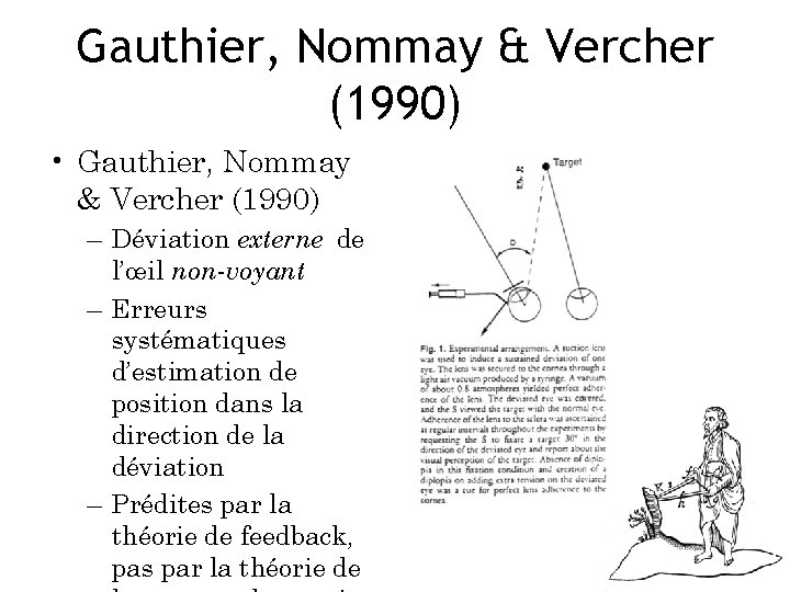 Gauthier, Nommay & Vercher (1990) • Gauthier, Nommay & Vercher (1990) – Déviation externe