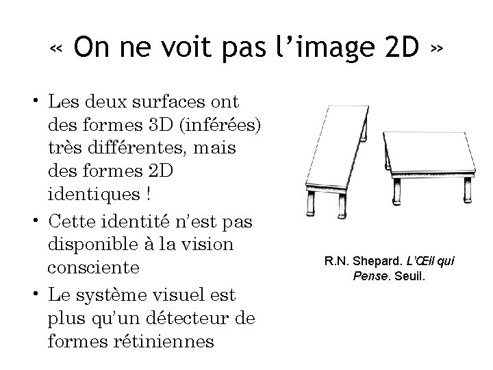  « On ne voit pas l’image 2 D » • Les deux surfaces