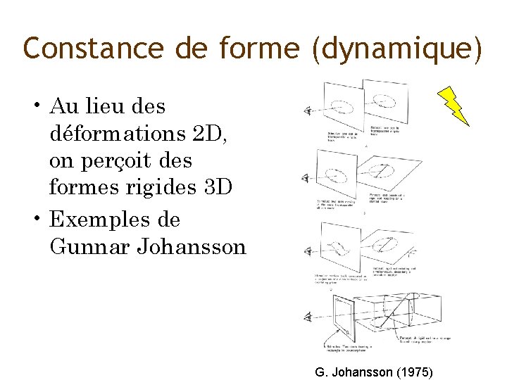 Constance de forme (dynamique) • Au lieu des déformations 2 D, on perçoit des