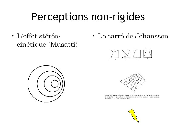 Perceptions non-rigides • L’effet stéréocinétique (Musatti) • Le carré de Johansson 