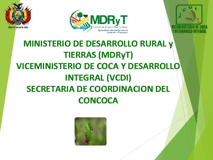 MINISTERIO DE DESARROLLO RURAL y TIERRAS (MDRy. T) VICEMINISTERIO DE COCA Y DESARROLLO INTEGRAL