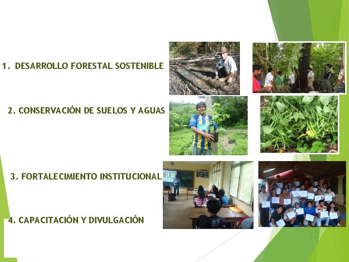 1. DESARROLLO FORESTAL SOSTENIBLE 2. CONSERVACIÓN DE SUELOS Y AGUAS 3. FORTALECIMIENTO INSTITUCIONAL 4.
