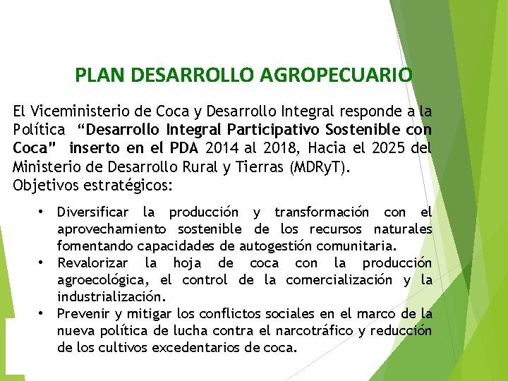 PLAN DESARROLLO AGROPECUARIO El Viceministerio de Coca y Desarrollo Integral responde a la Política