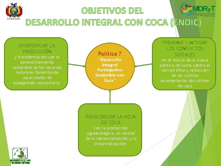 OBJETIVOS DEL DESARROLLO INTEGRAL CON COCA (ENDIC) DIVERSIFICAR LA PRODUCCIÓN y transformación con el