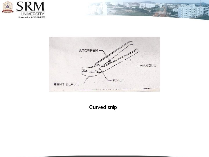 Curved snip Curved snip