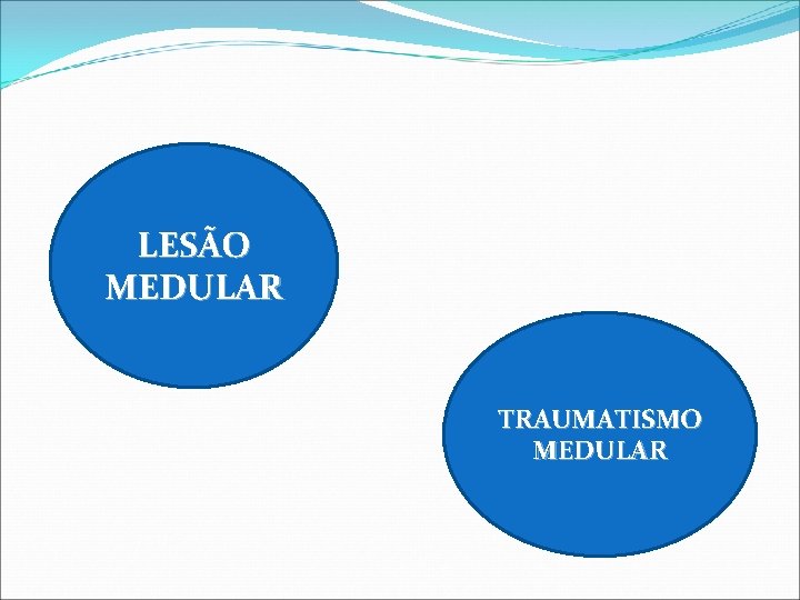 LESÃO MEDULAR TRAUMATISMO MEDULAR LESÃO MEDULAR TRAUMATISMO MEDULAR
