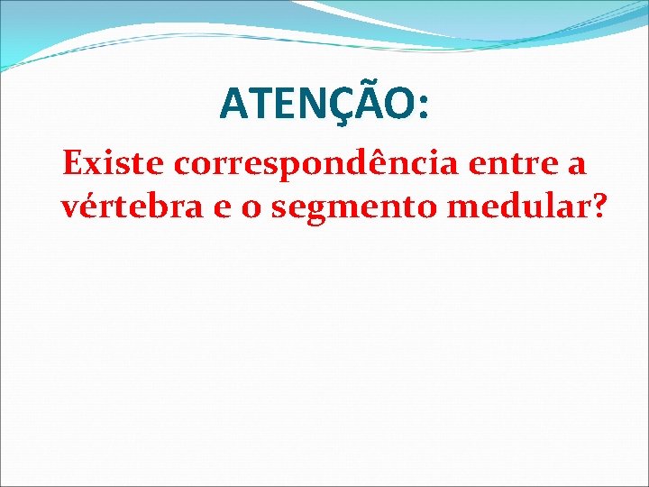 ATENÇÃO: Existe correspondência entre a vértebra e o segmento medular? ATENÇÃO: Existe correspondência entre a vértebra e o segmento medular?