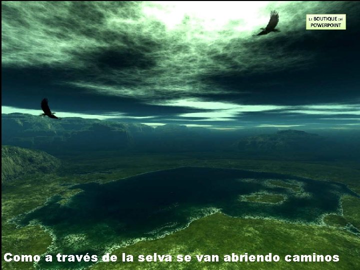 Como a través de la selva se van abriendo caminos 