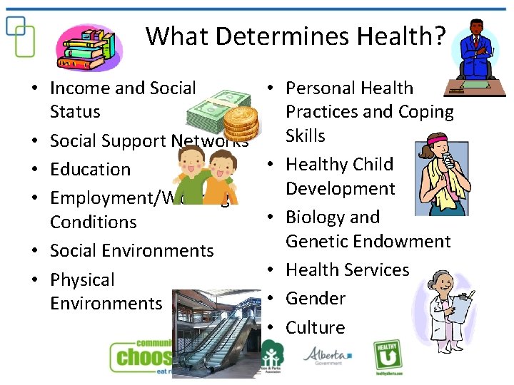  What Determines Health? • Income and Social Status • Social Support Networks •