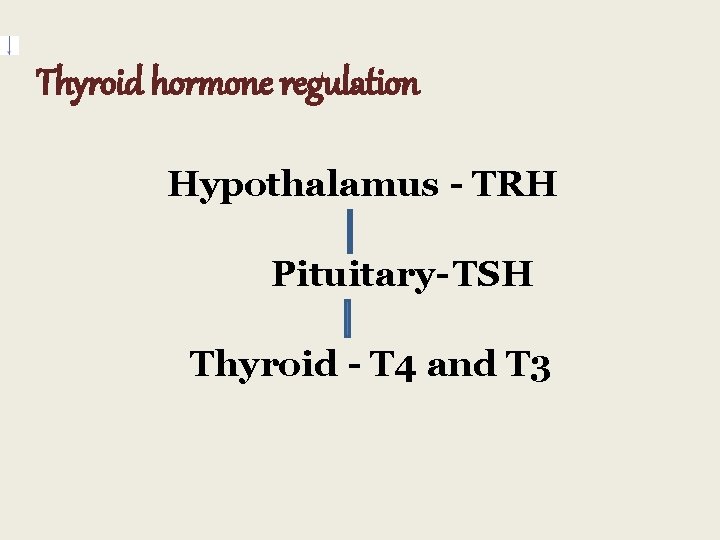 Thyroid hormone regulation Hypothalamus - TRH Pituitary- TSH Thyroid - T 4 and T