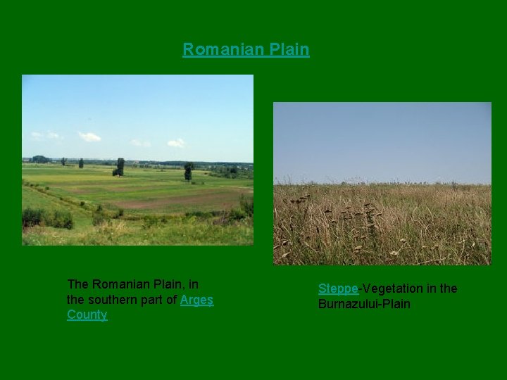 Romanian Plain The Romanian Plain, in the southern part of Argeş County Steppe-Vegetation in