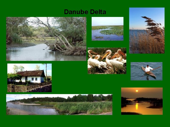 Danube Delta 