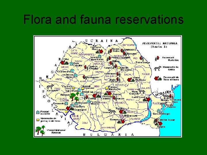 Flora and fauna reservations 