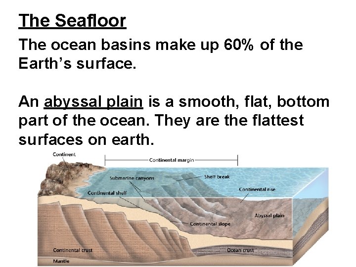The Seafloor The ocean basins make up 60% of the Earth’s surface. An abyssal The Seafloor The ocean basins make up 60% of the Earth’s surface. An abyssal