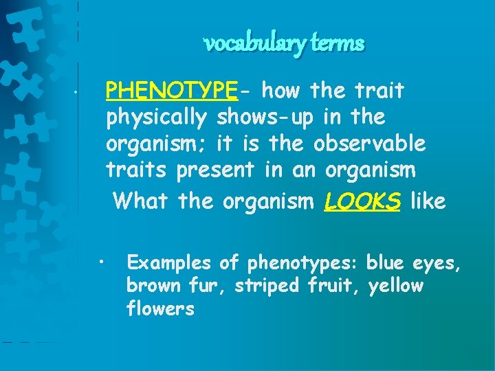 vocabulary terms PHENOTYPE- how the trait physically shows-up in the organism; it is the