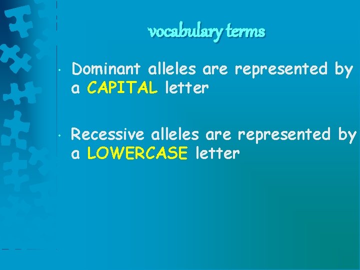 vocabulary terms • • Dominant alleles are represented by a CAPITAL letter Recessive alleles