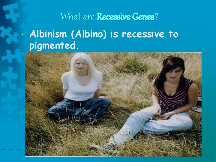 What are Recessive Genes? • Albinism (Albino) is recessive to pigmented. 