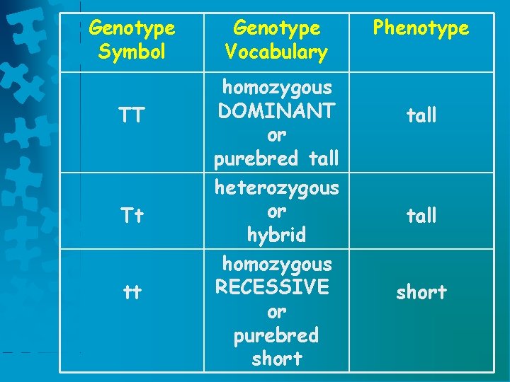 Genotype Symbol TT Tt tt Genotype Vocabulary homozygous DOMINANT or purebred tall heterozygous or Genotype Symbol TT Tt tt Genotype Vocabulary homozygous DOMINANT or purebred tall heterozygous or