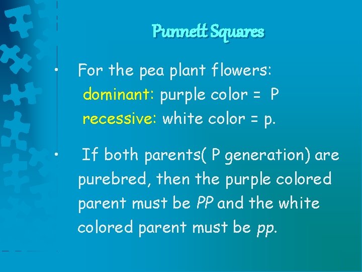 Punnett Squares • For the pea plant flowers: dominant: purple color = P recessive: Punnett Squares • For the pea plant flowers: dominant: purple color = P recessive: